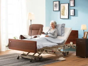 L100-1000 Electric Care Bed